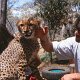 Kenya with Barbara Brighetti